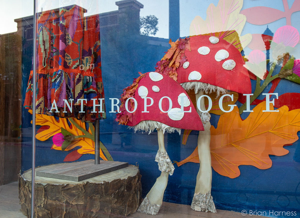 Anthropologie, Southlake